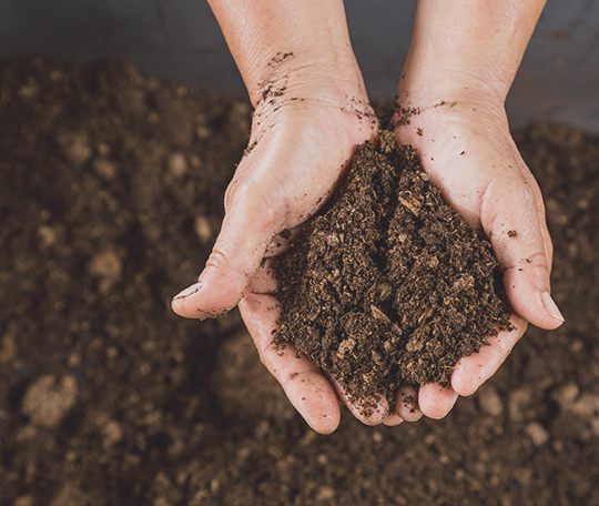 Land and soil around insured home not insured based on policy language