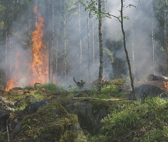 The Province does not need to prove fire control efforts were necessary or effective to recover such costs under the Wildfire Act