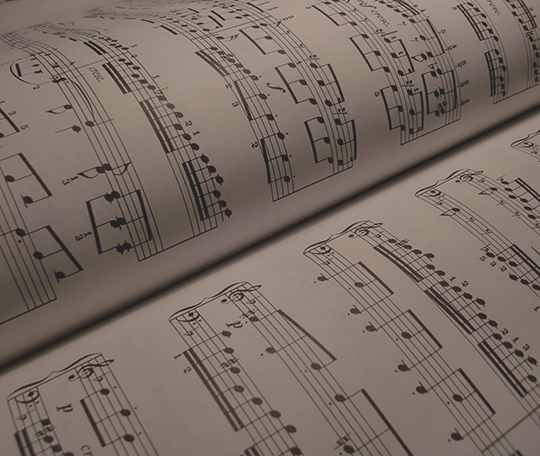 Leyla Salmi joins Phoenix Chamber Choir Board