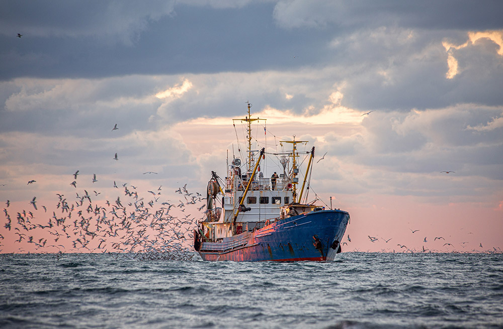 Fishing association did not have standing to advance argument that Minister of Fisheries and Oceans breached its constitutional duty to consult with Indigenous stakeholders before making decision to geographically divide a lobster fishing area in Atlantic Ocean