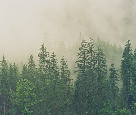 Take Credit with Canada’s Greenhouse Gas Offset Credit Regulation