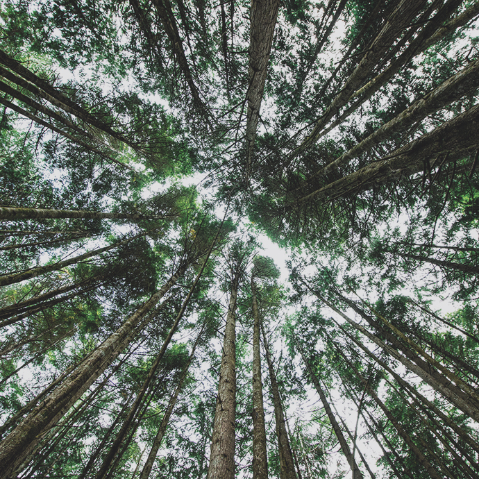 Harper Grey Proudly Sponsors the 2024 Nature Trust of BC Gala
