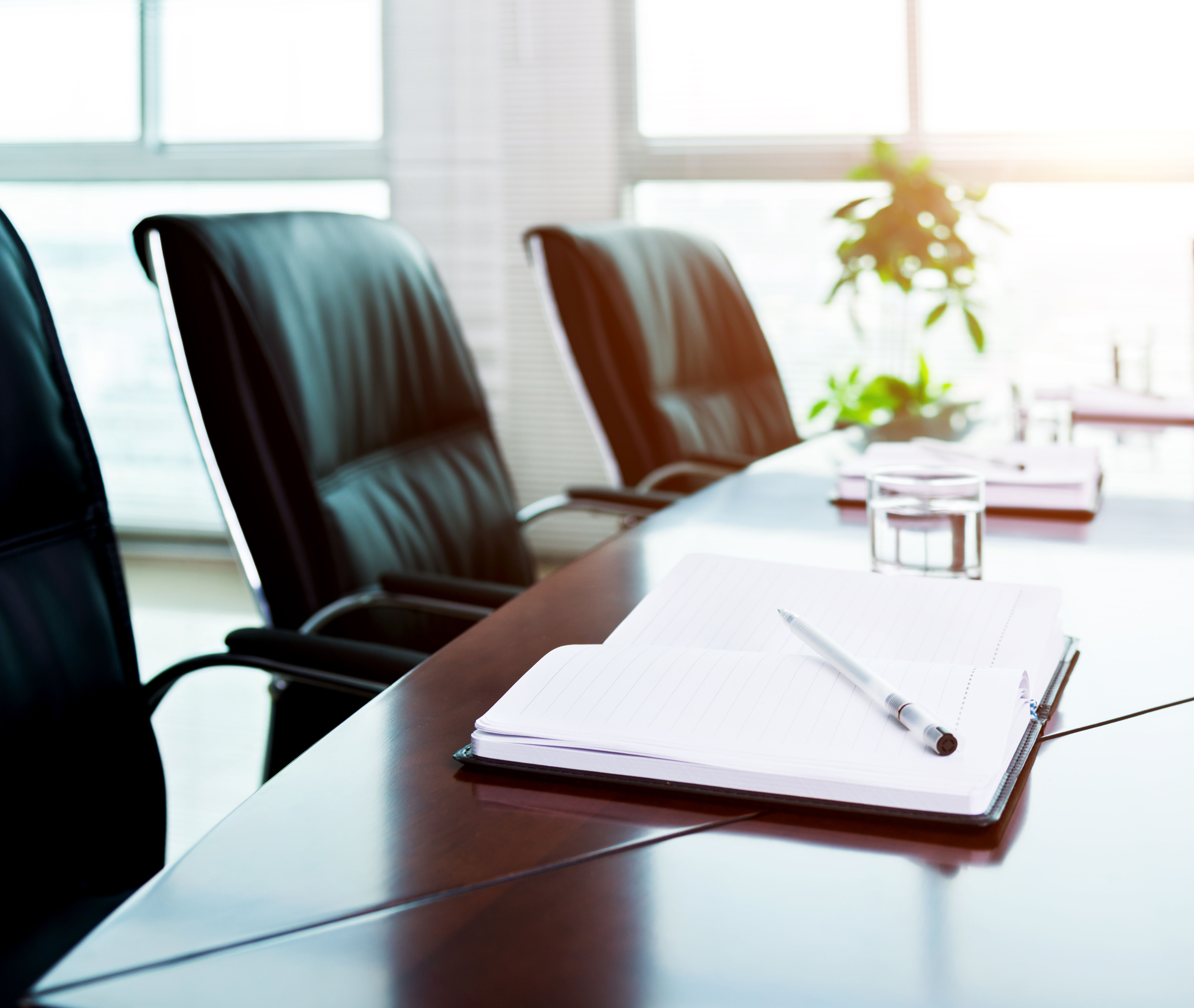 Roselle Wu elected Chair of the Judicial Issues Subcommittee of the Canadian Bar Association