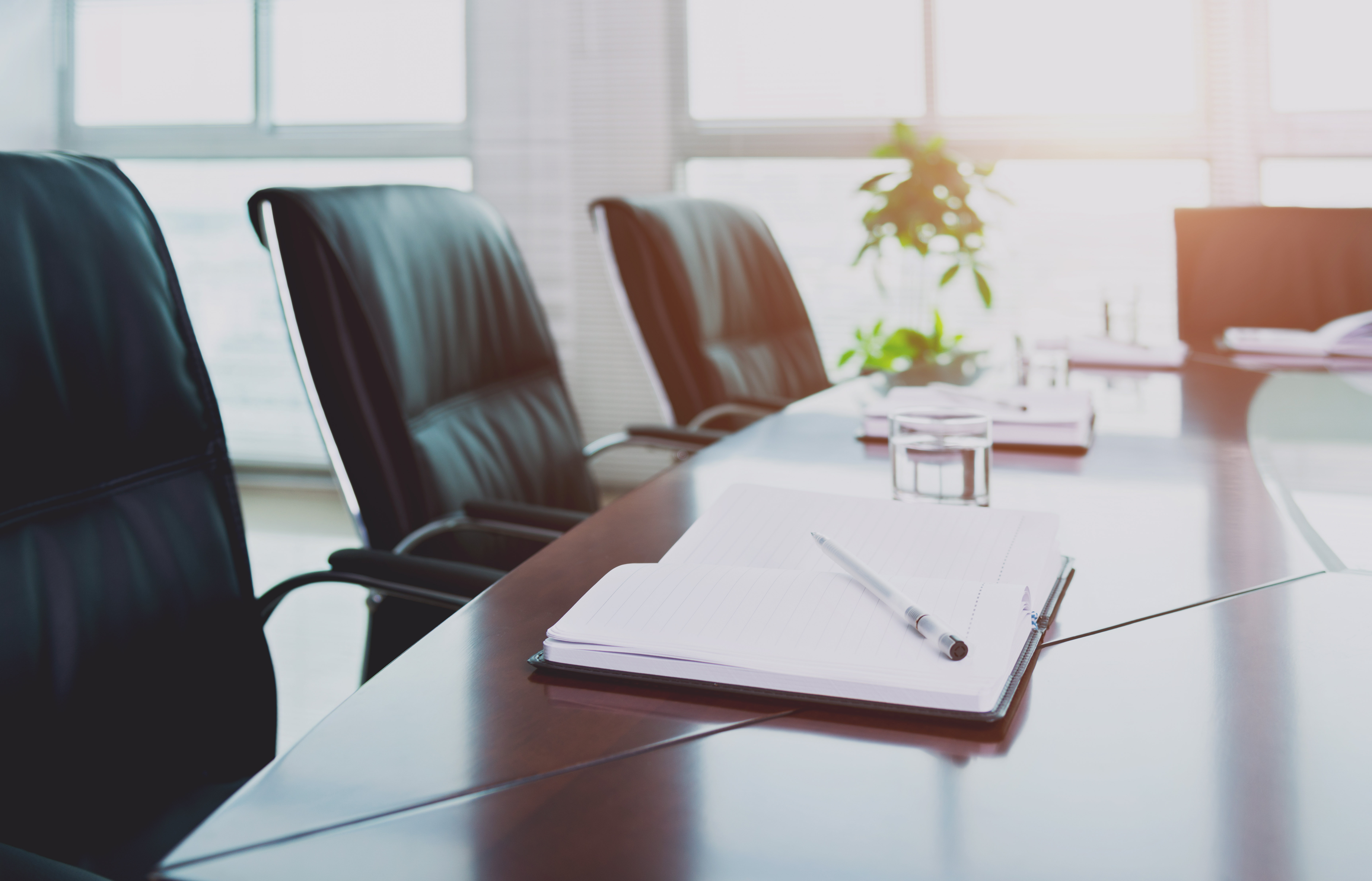 Rebecca Dales elected to The Hebrew Free Loan Association Board of Directors