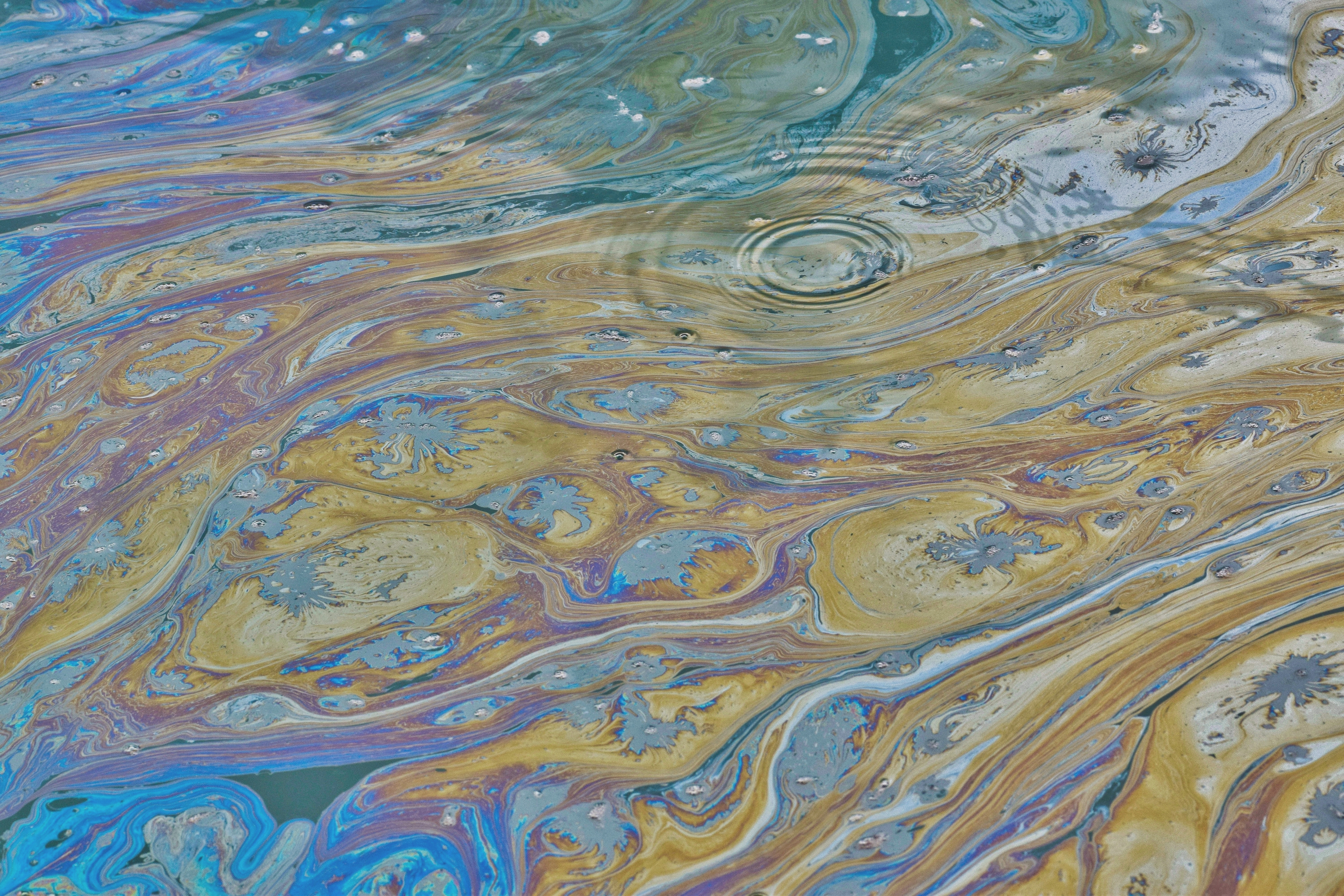 Environmental Claims – Common (Law) Sense