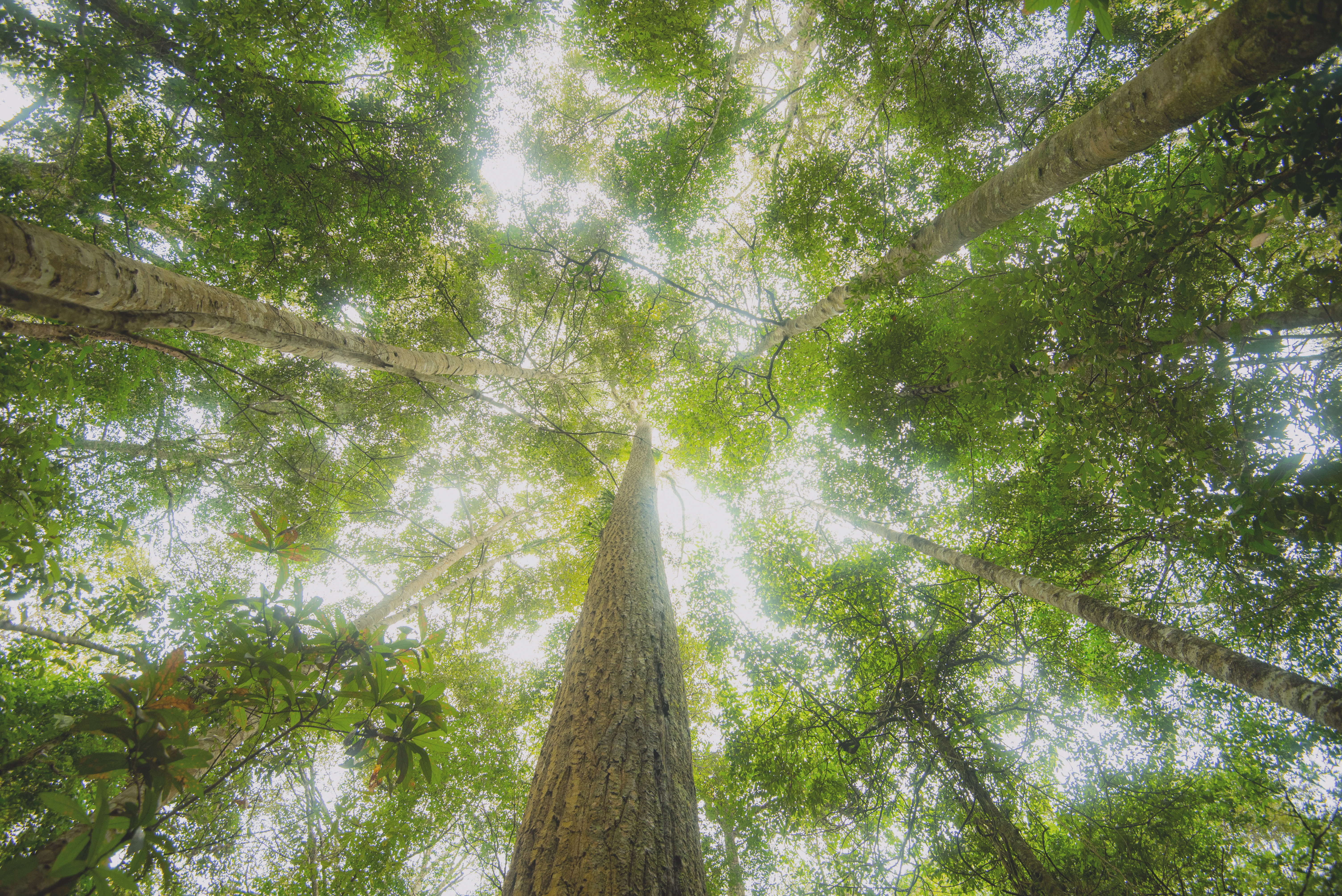 Christopher Rusnak, KC to speak at UBC Earth Day Celebration