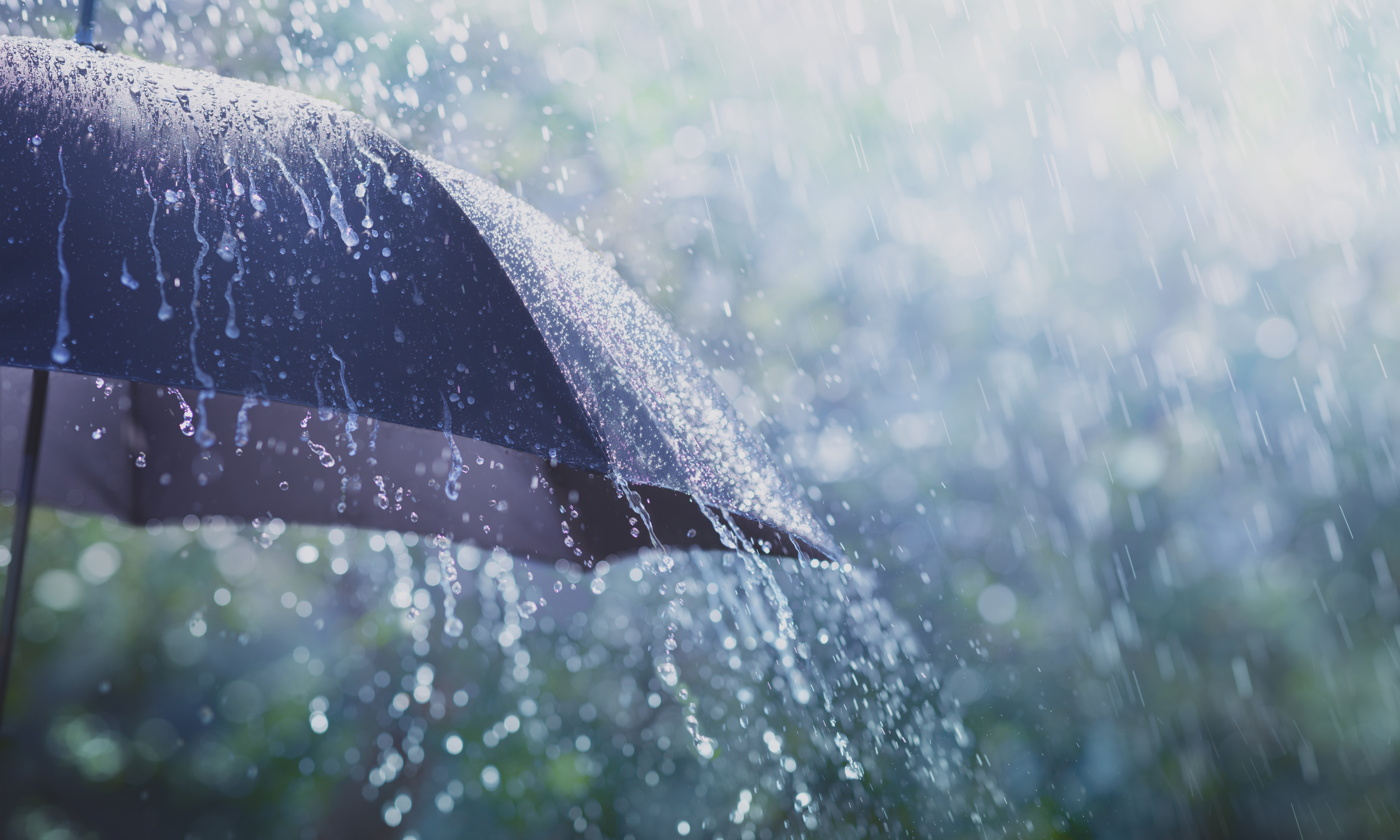 Harper Grey Hosts 2026 Spring Insurance Law Seminar