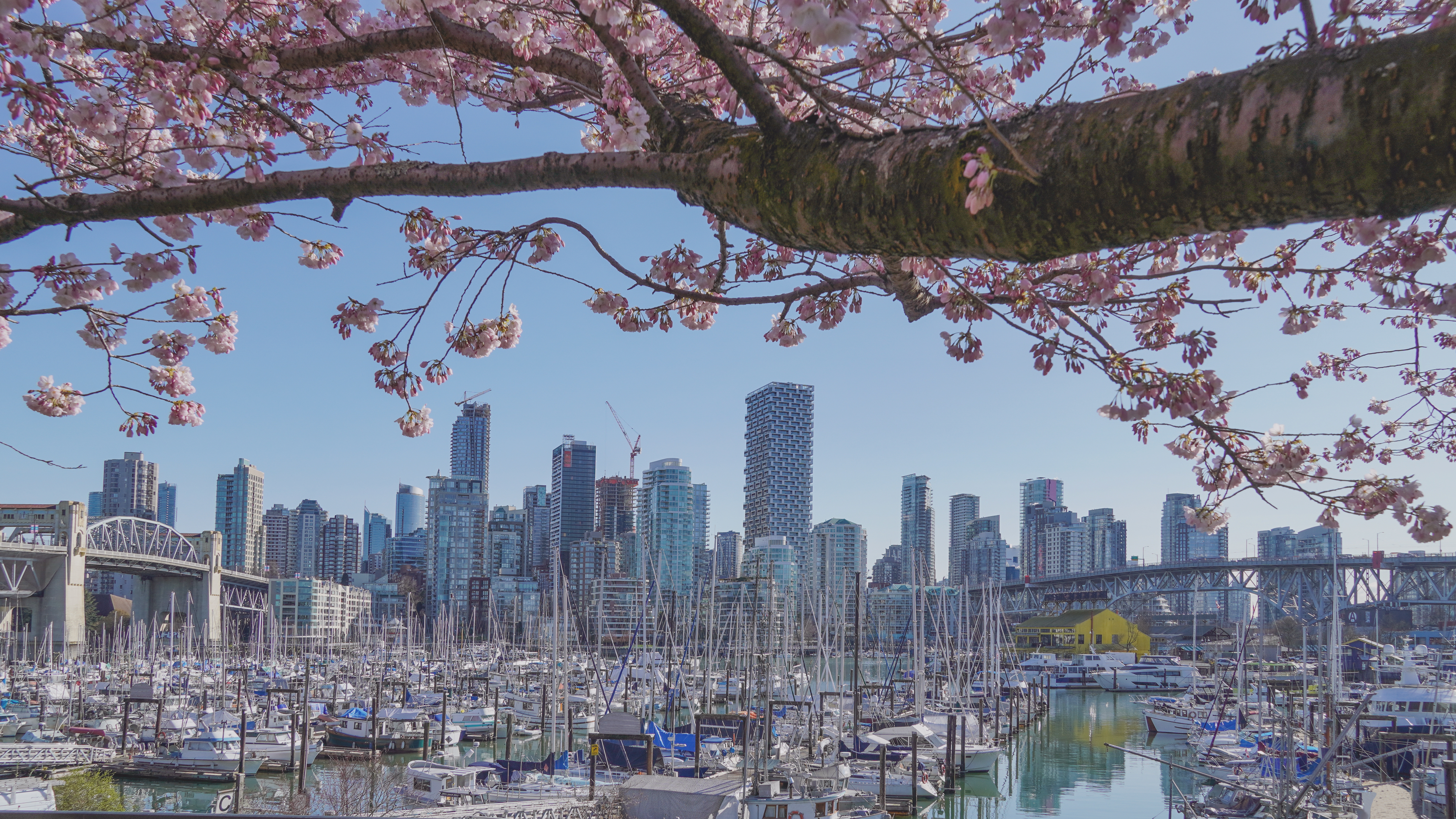 Rebecca Dales and Jasmine Kang attend Vancouver Mining Club Spring Social